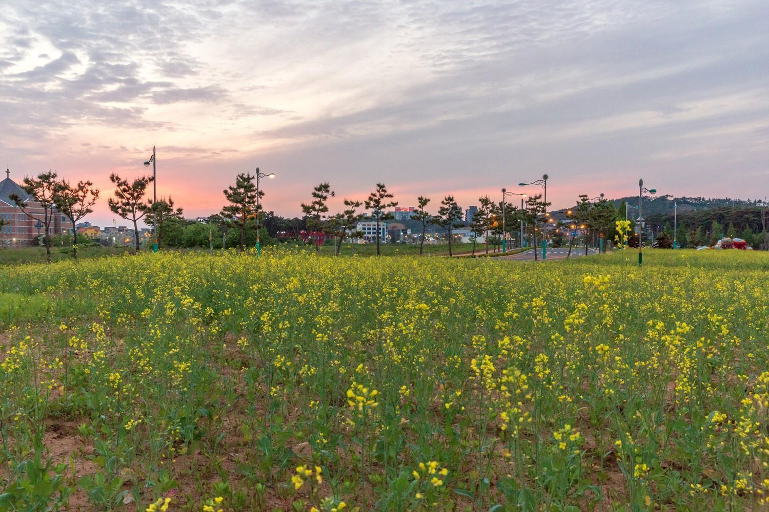 Daecheon Gyeoulyeonga Pension Boryeong Exterior photo