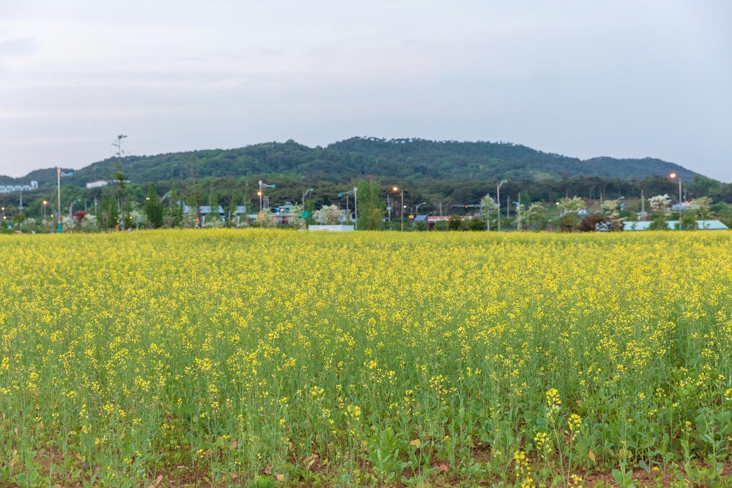 Daecheon Gyeoulyeonga Pension Boryeong Exterior photo